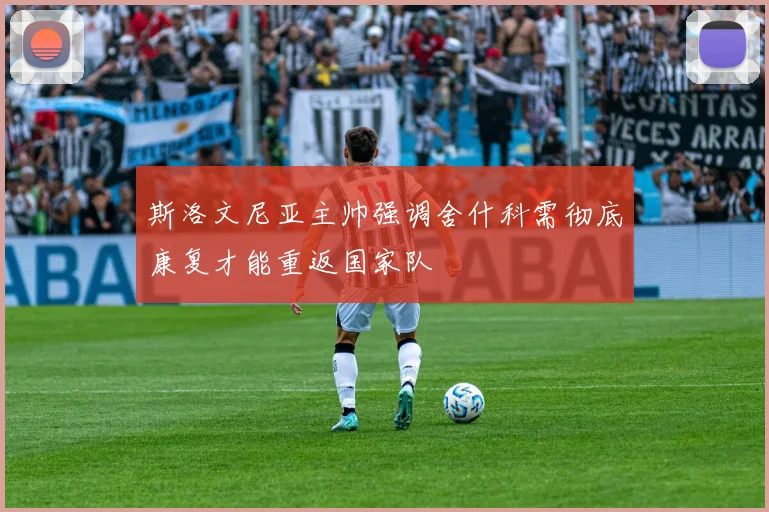 斯洛文尼亚主帅强调舍什科需彻底康复才能重返国家队